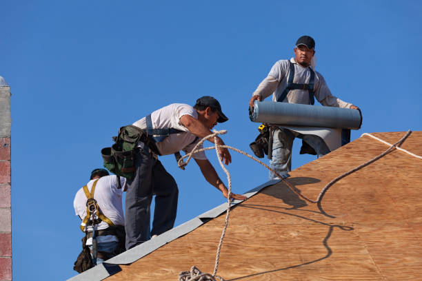 Best Roof Gutter Cleaning  in Pemberton Heights, NJ